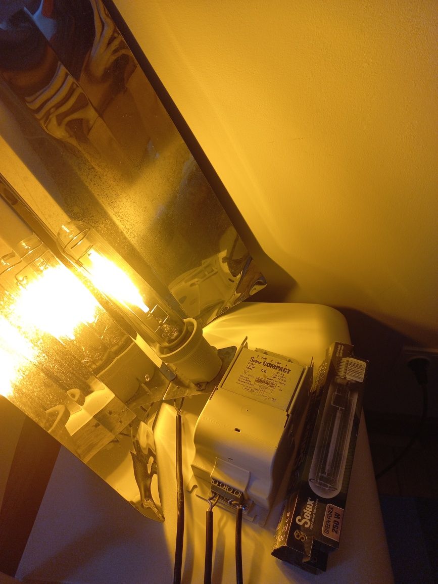 Iluminação Horticultura Solux Compact 250W – Cultivo Indoor / Estufa /
