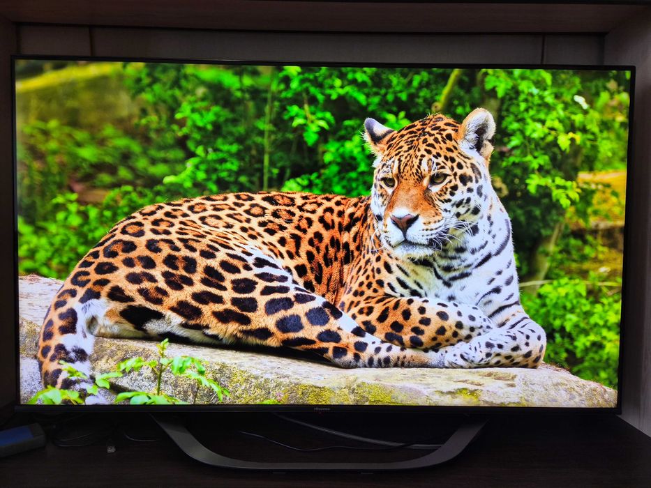 Mini-LED Hisense 55U7KQ 55″ 4K ULED 120 Гц