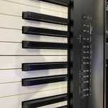 Roland   FP30XBK