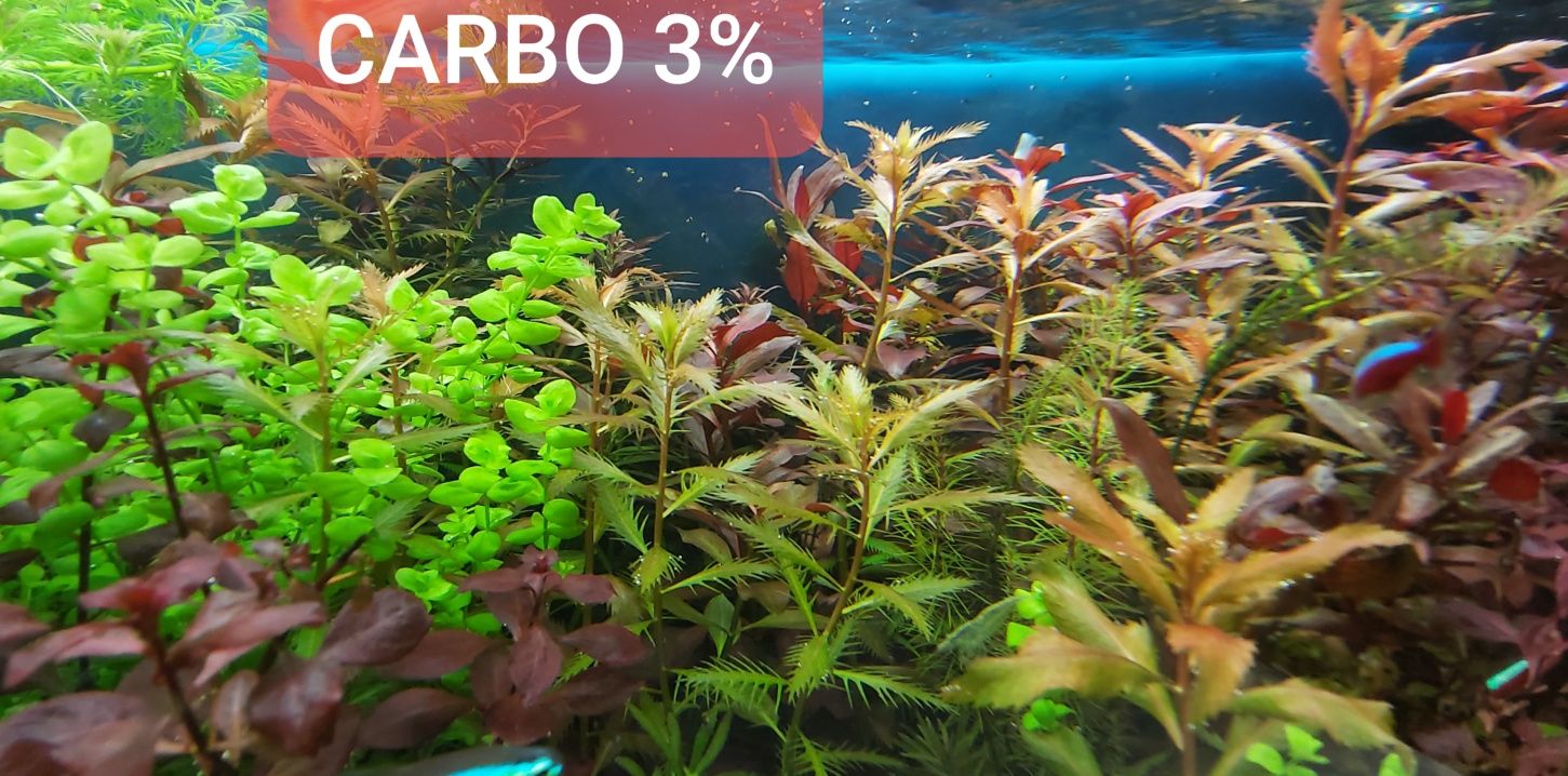 Carbo 1 litr co2 węgiel w płynie mocny 3 %