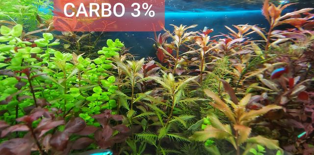 Carbo 1 litr co2 węgiel w płynie mocny 3 %