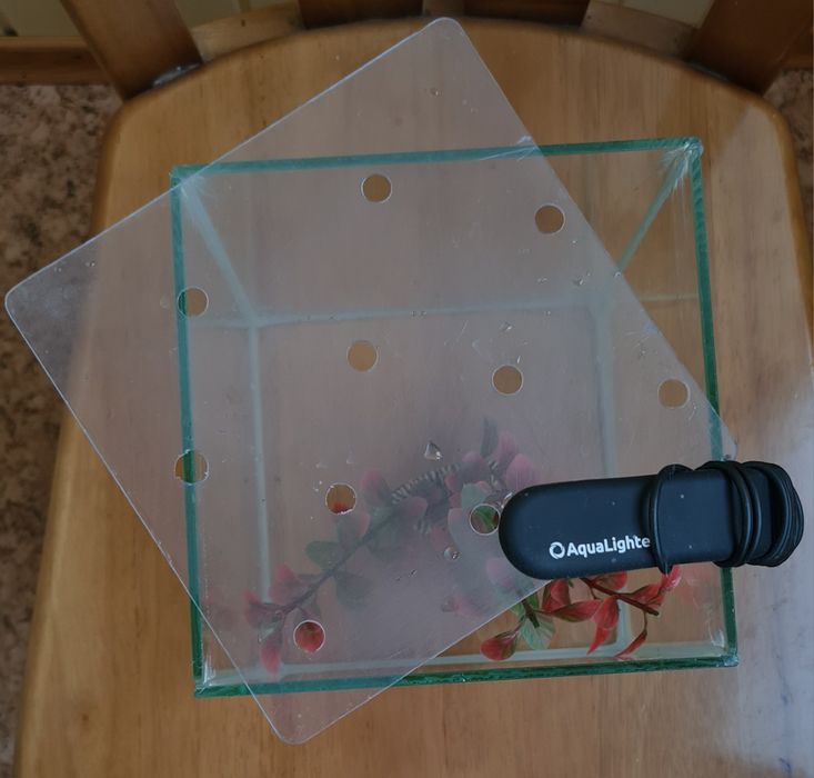 Аквариум для рыбок 5,8л + фонарик