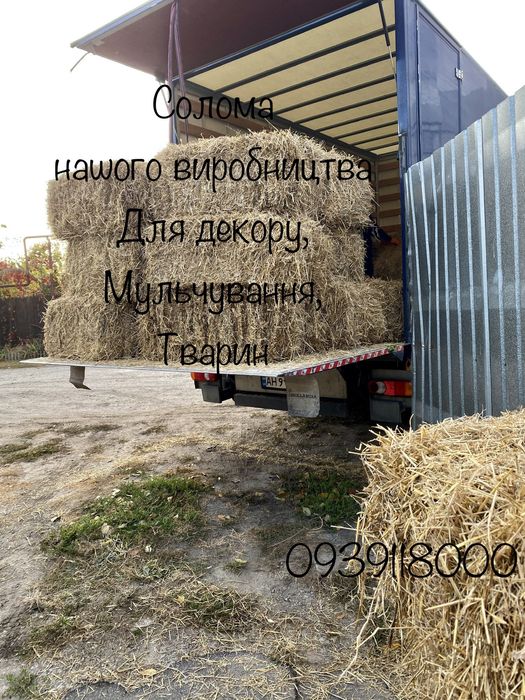 Сіно 2025 рік в тюках Солома Сено Лугове тюки