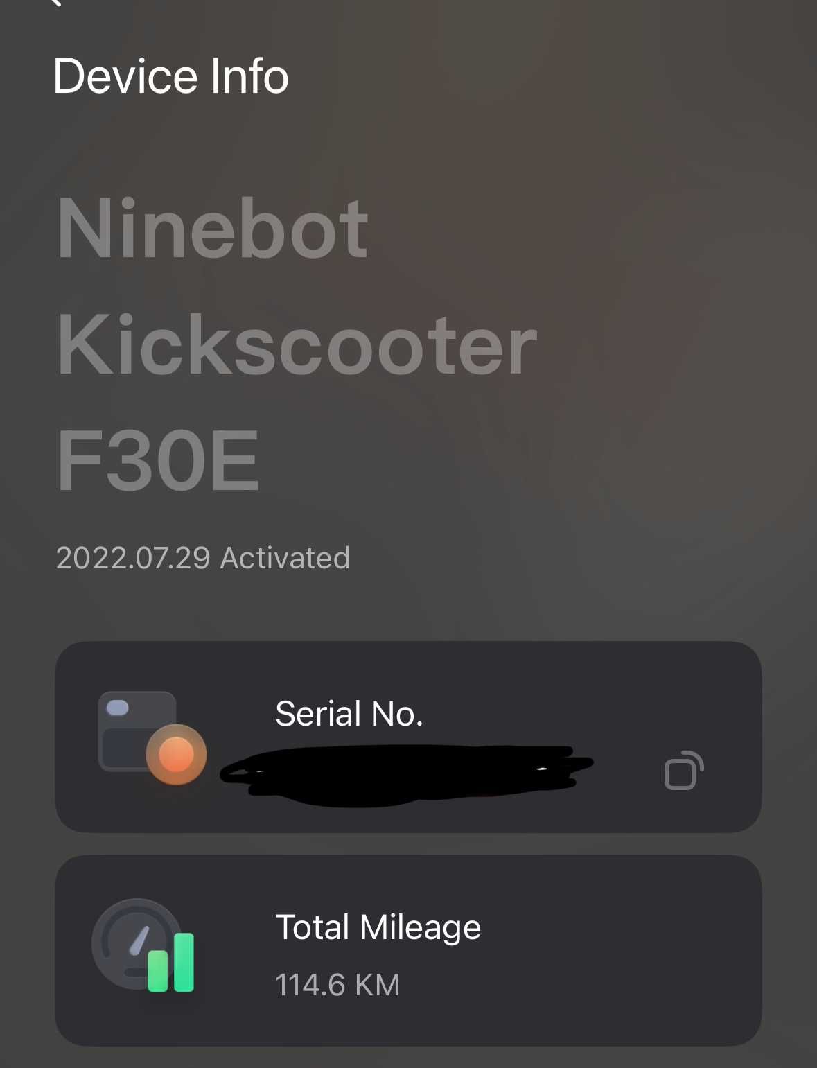 Ninebot KickScooter F30E