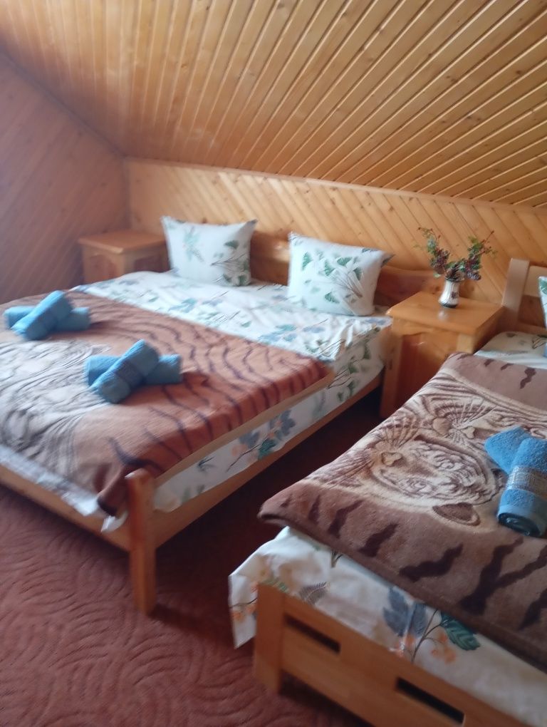 Котедж Сонячний. Говерла