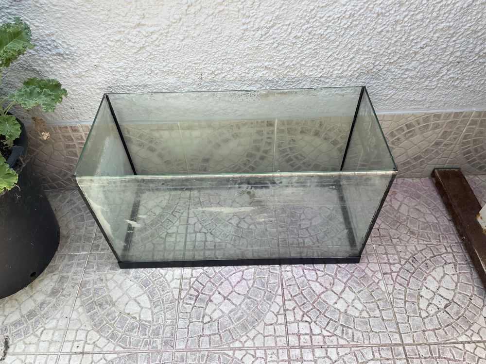 Aquario usado para peixes de agua quente