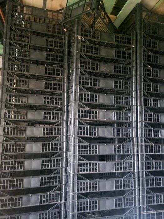 Paśniki do chodowli ślimaków