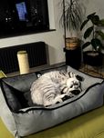 ЛЕЖАНКА ЛЕЖАК для кота котика. Різні розміри та тканини. BOSYAK