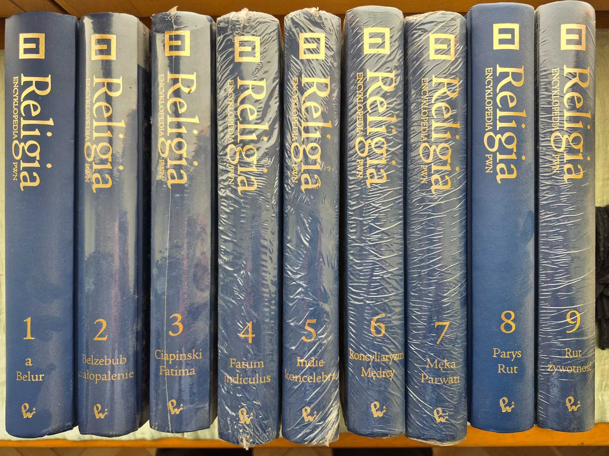 Religia. Encyklopedia PWN, t. 1-9