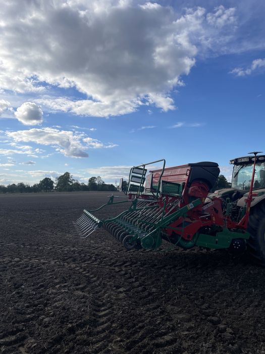 Siew zbóż zboża traw bezposrednio w mulcz