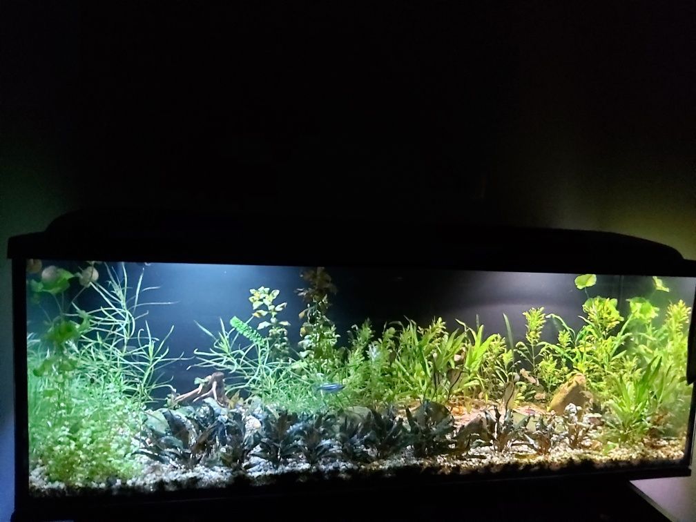 Pokrywa do akwarium 150x50[cm] z oświetleniem LED