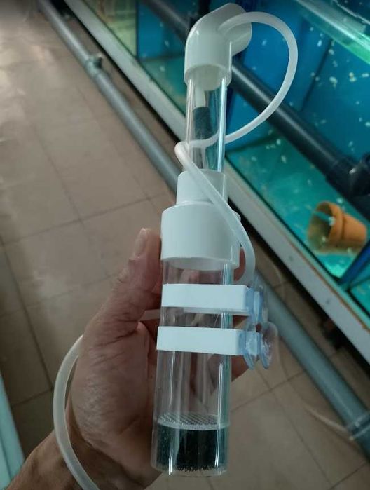 Incubadora de ovos de peixes