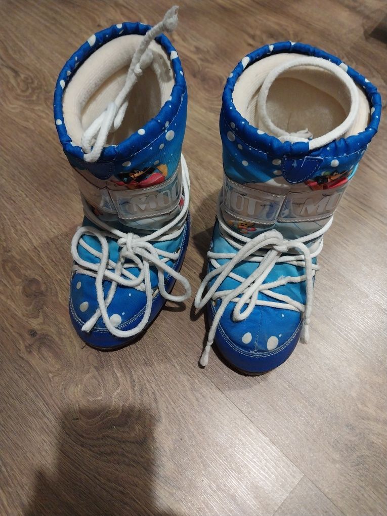 Чоботи, місяцеходи, мунбуты Tecnica Moon Boot
