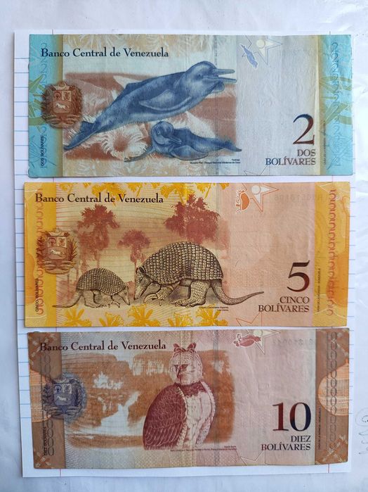 Conjunto de 6 notas da Venezuela (bolívares) - 2, 5, 10, 20, 50 e 100