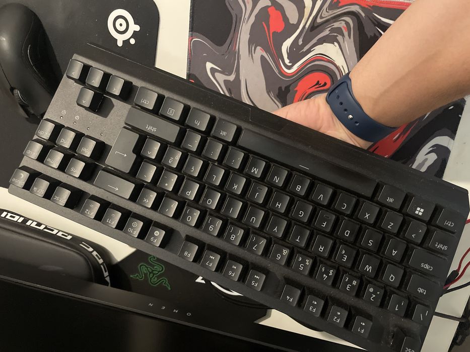 Razer Blackwidow v3 Tenkeyless