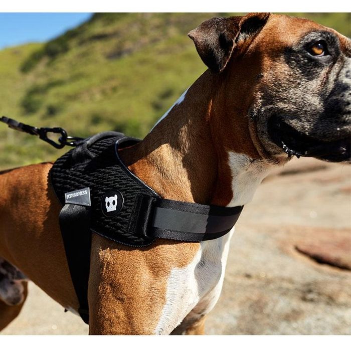 ZEE DOG czarne Szelki dla psa Fly harness Gotham, różne rozmiary
