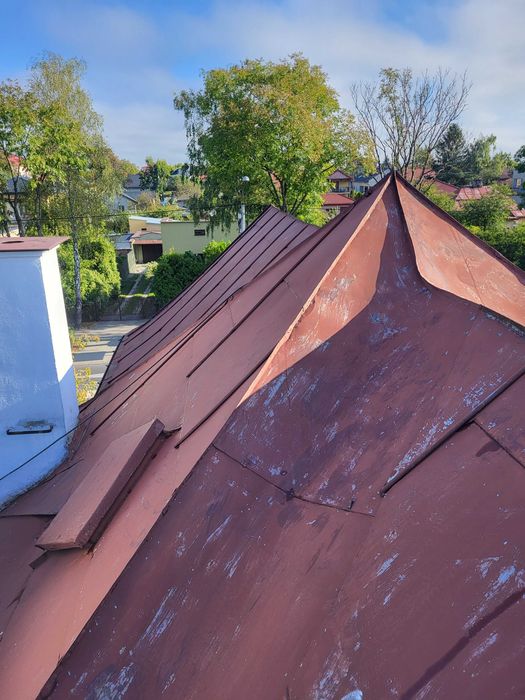 Mycie malowanie dachów, malowanie elewacji, mycie kostki