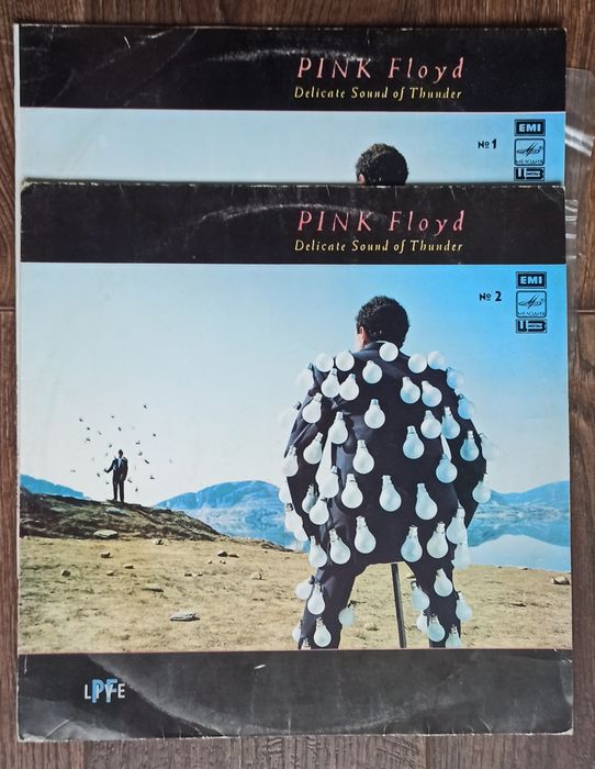 Пластинки 2 шт. (винил) Pink Floyd - "Delicate Sound of Thunder" 2LP