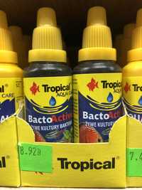 BactoActive żywe kultury bakterii tropical 100ml