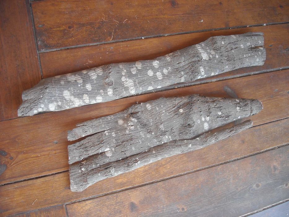 Casca de arvore natural para decoracao terrario ou outros