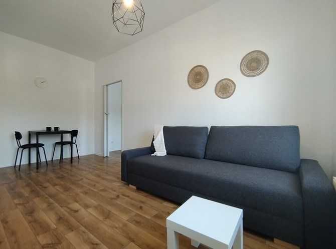 2 pokoje przyjazne zwierzętom, Armii Krajowej 85, BRAK PROWIZJI