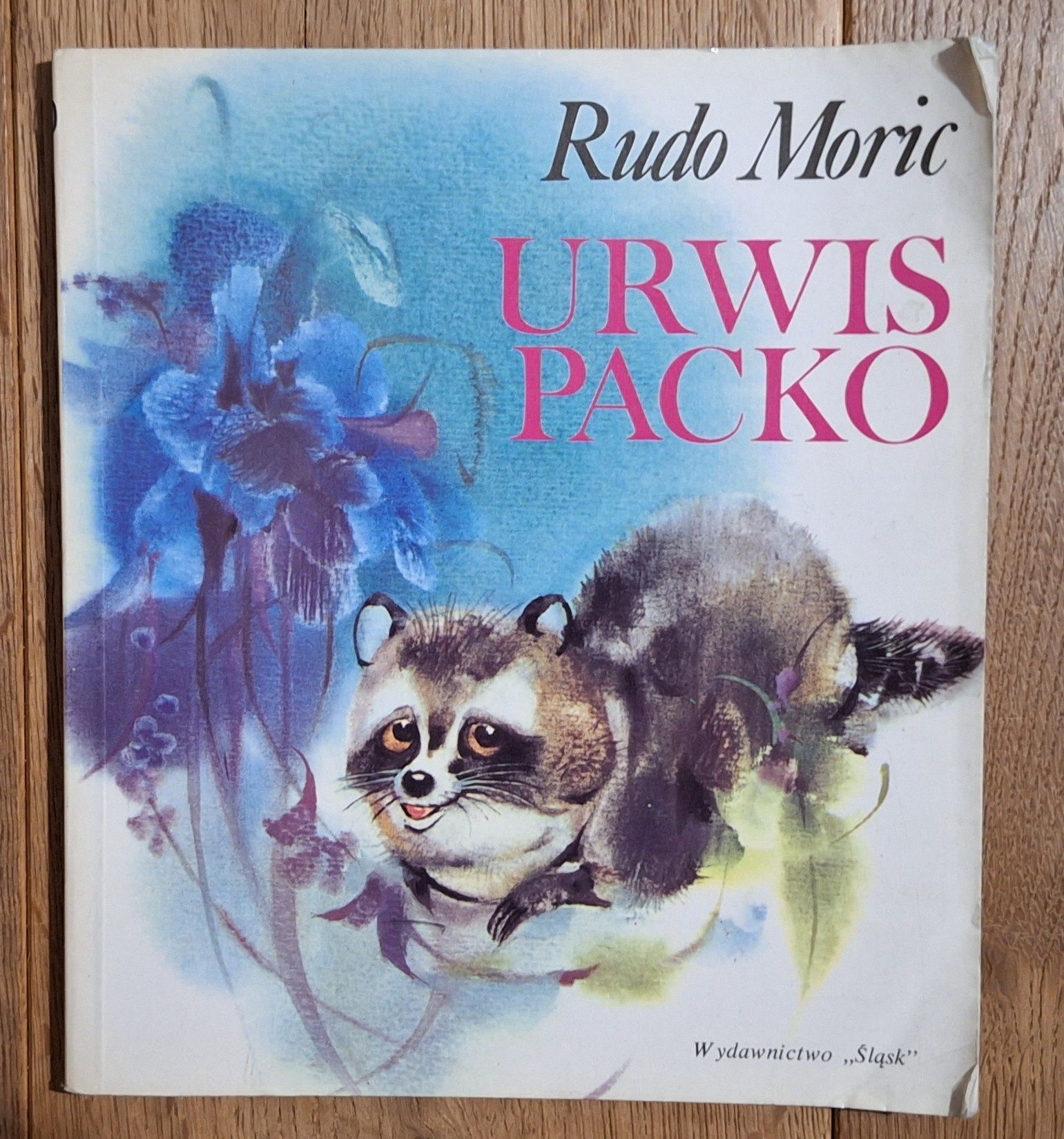 Książka Urwis Packo Rudo Moric