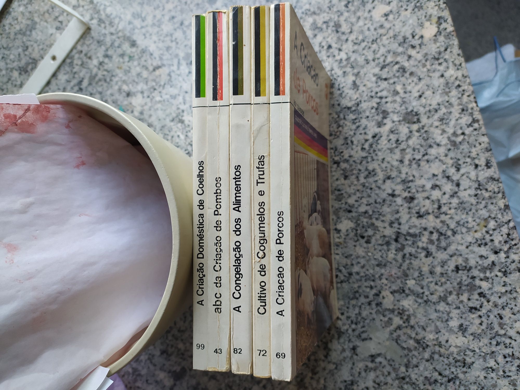 Coleccao cultura e tempos livres