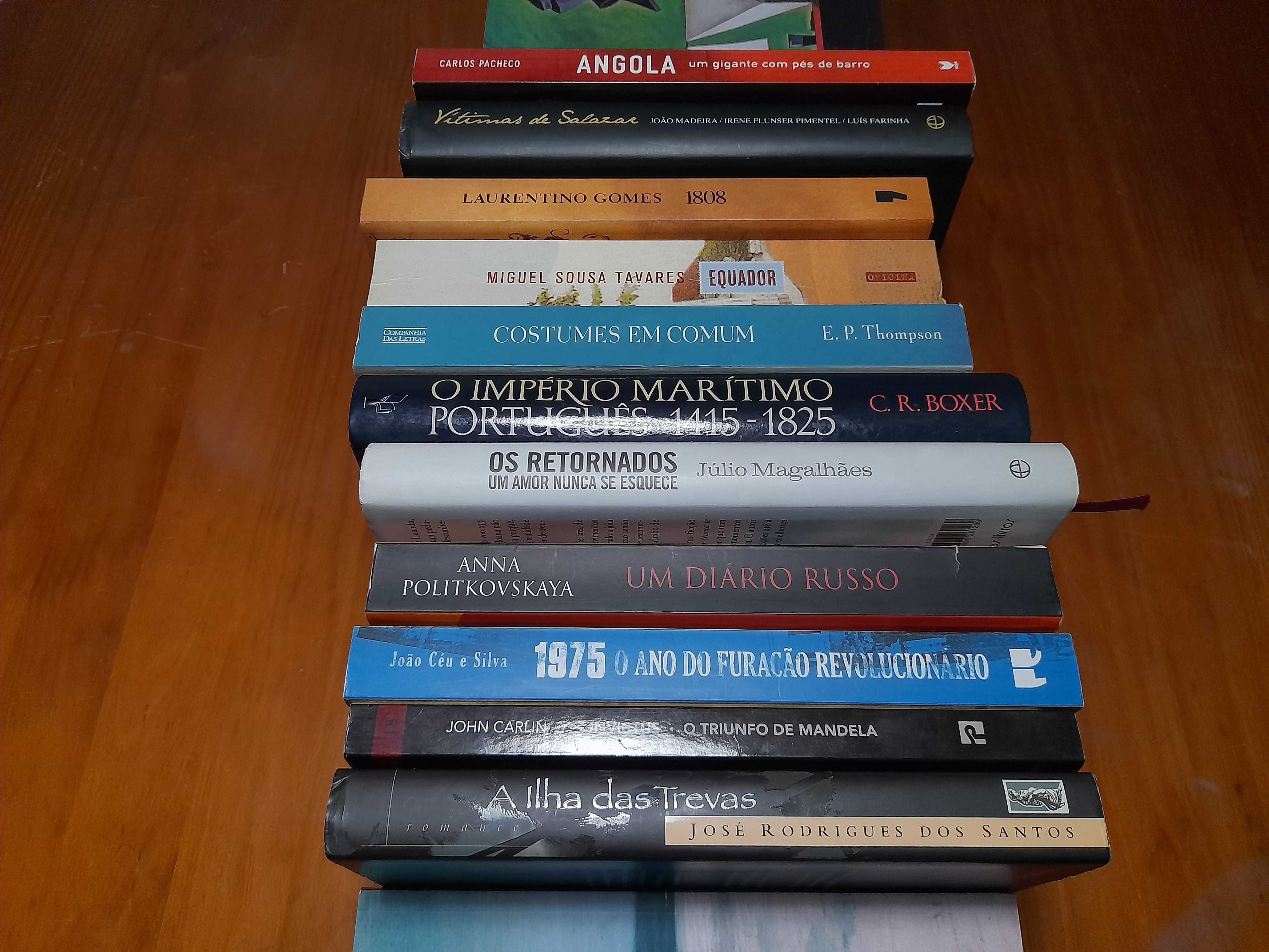 Lote de livros de história, sociologia, politica e romances.