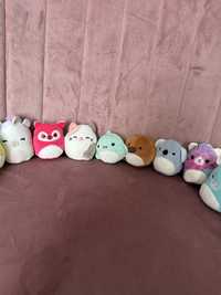 Male squishmallows