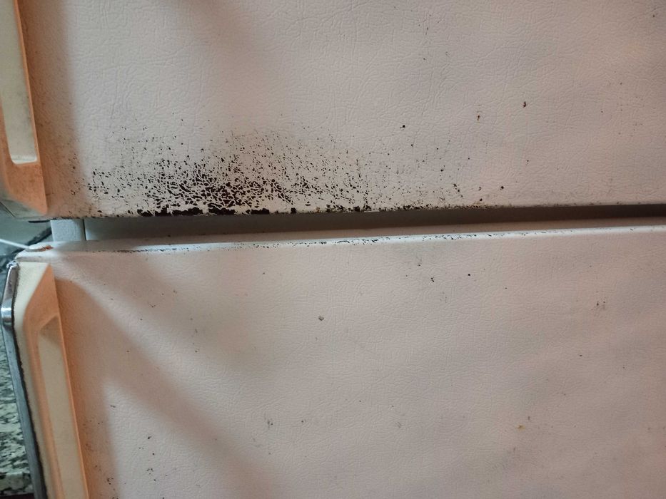 Frigorífico Philco usado