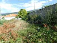 Lote / Seia, Santa Marinha e São Martinho