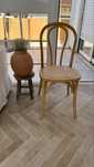 6 cadeiras de madeira estilo Thonet - NOVAS