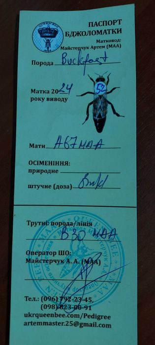 Продам бджолопакети  карніка та бакфаст