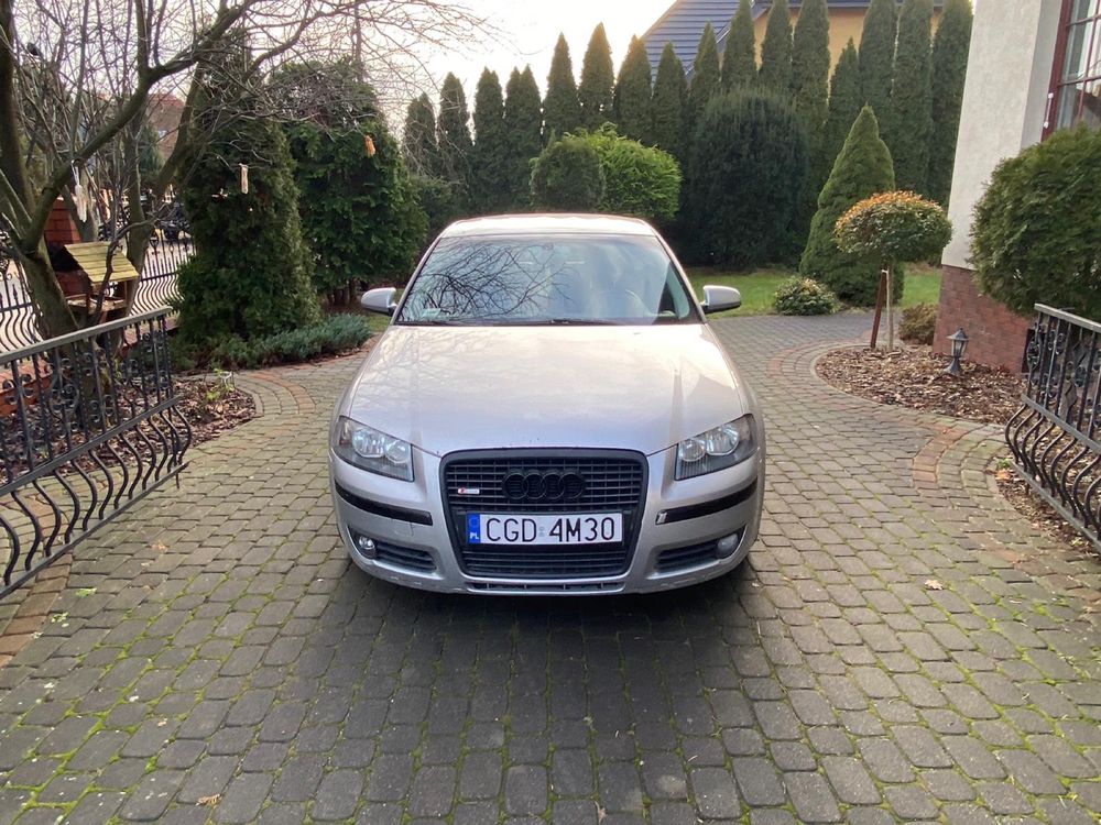 Audi a3 8P 1,9 TDI