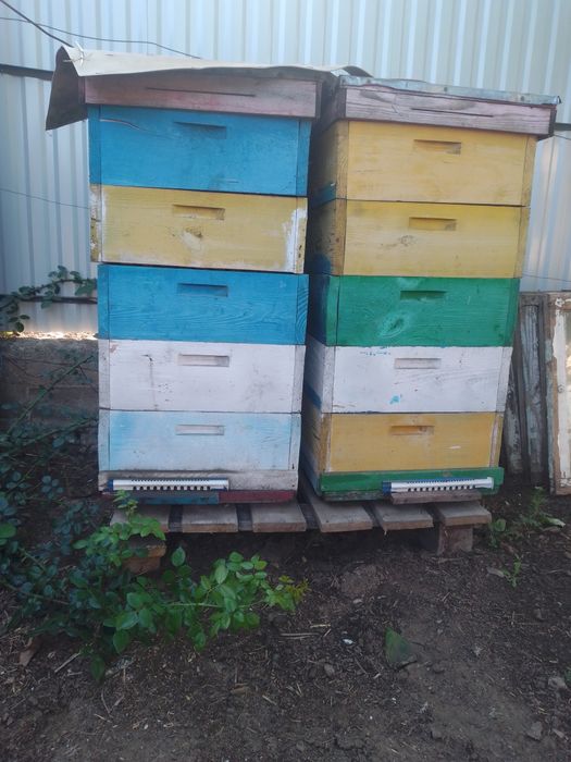 Продам вулик 1500 грн на 5 ярусів з рамками