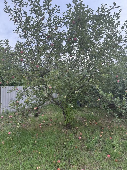 Продается дом в хорошем месте!