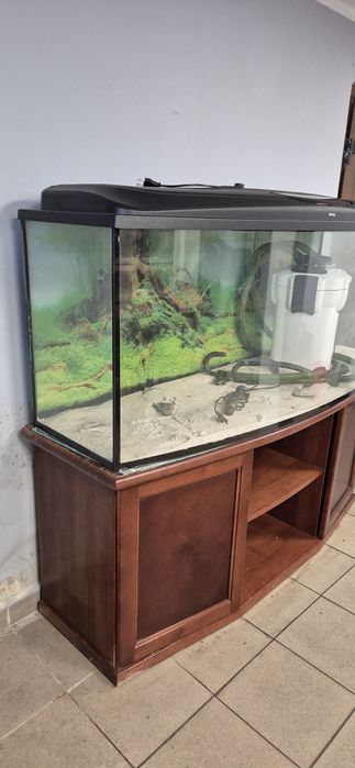 Akwarium z podstawą