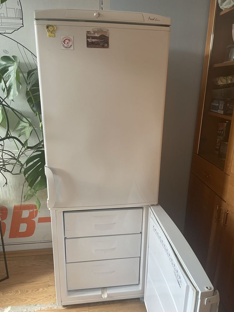 Lodowka Amica 160cm