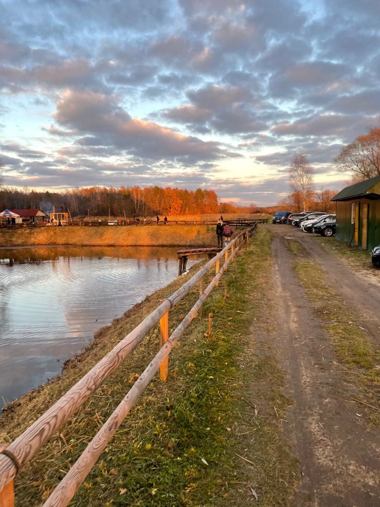 Stawy hodowlane agroturystyka działka