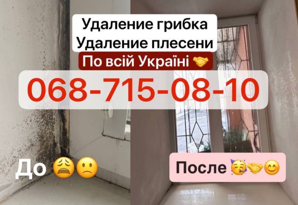 ‼️Удаление плесени - устранение грибка с гарантией на 3 года! Под ключ