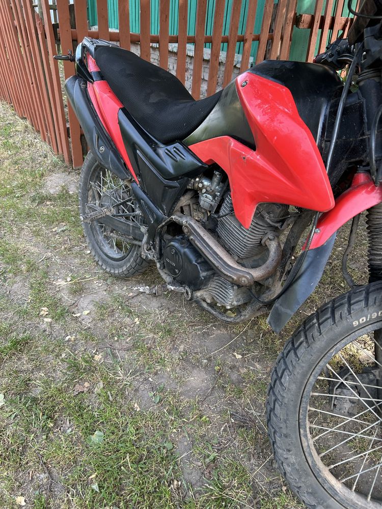 Продам Лонкин прус 200