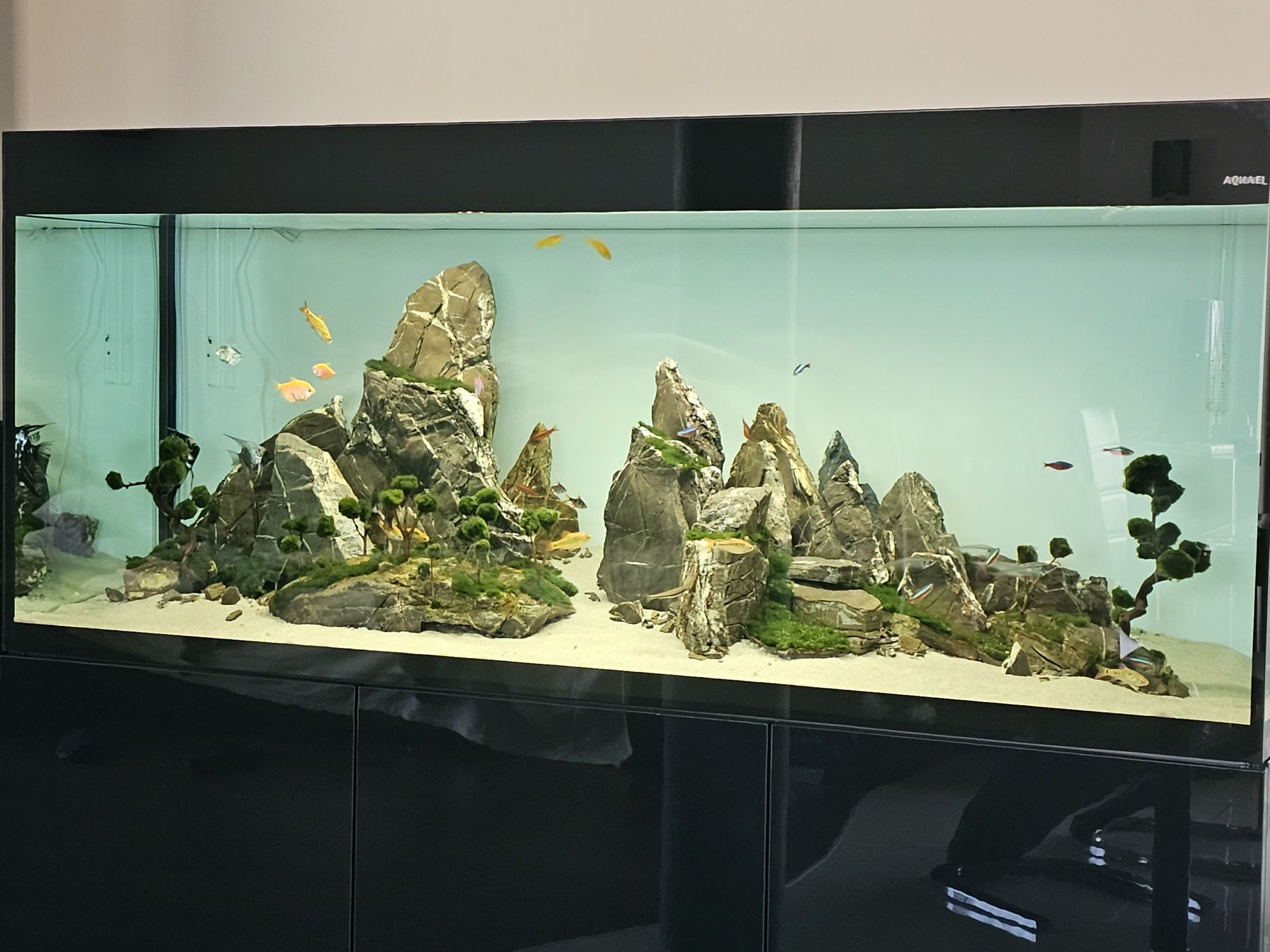 Zestaw akwarium Aquael Glossy 150 czarny 405 litrów.