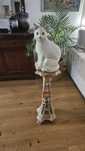 Vendo pedestal tibetano.