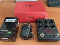 Digitech Trio+, bandcreator and looper. Genialny akompaniament!