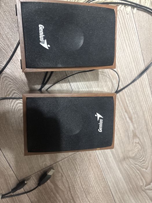Продаю колонки Genius в отличном состоянии
