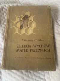 Sekekcja i wychów matek pszczelich 1956 Wawryn Weber