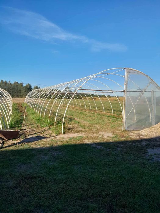 Sprzedam tunel foliowy 6x30