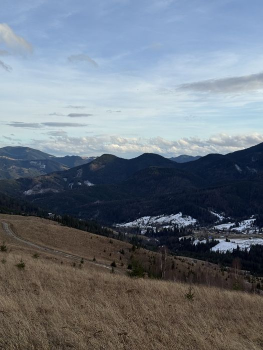 ТОП Дземброня 88сот