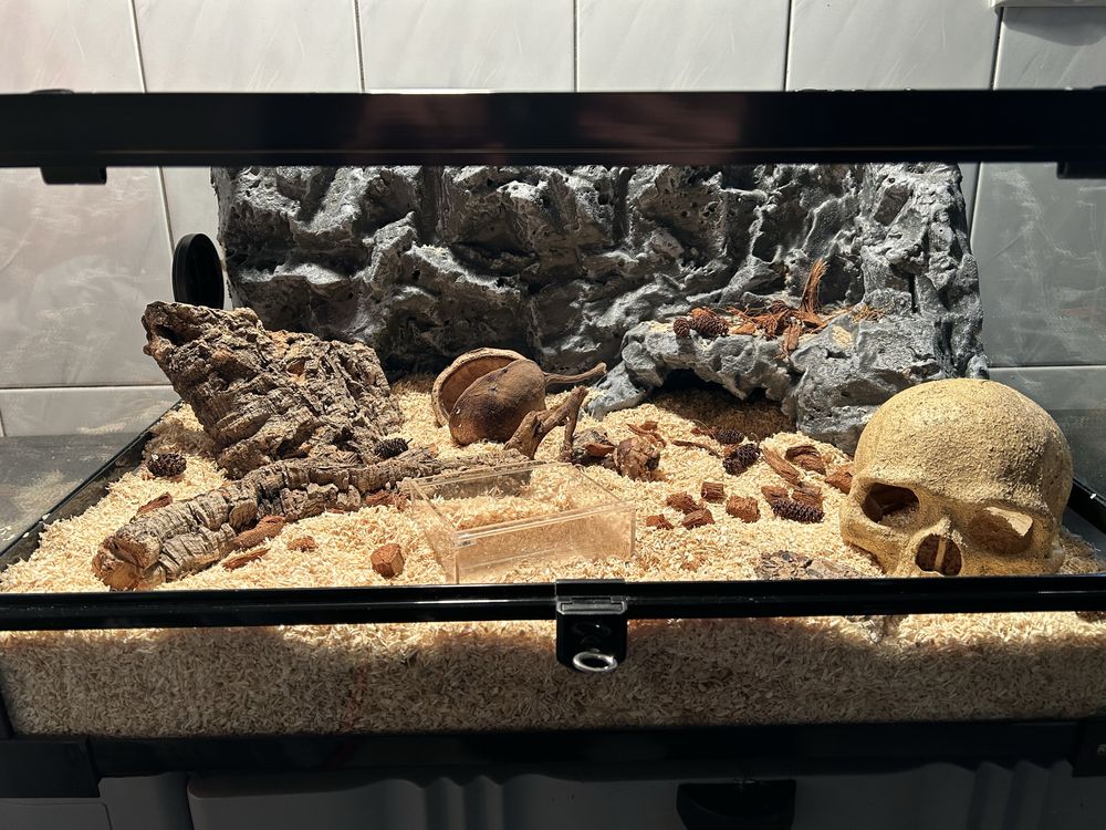 Sprzedam terrarium Repti-Zoo w komplecie ze ścianką