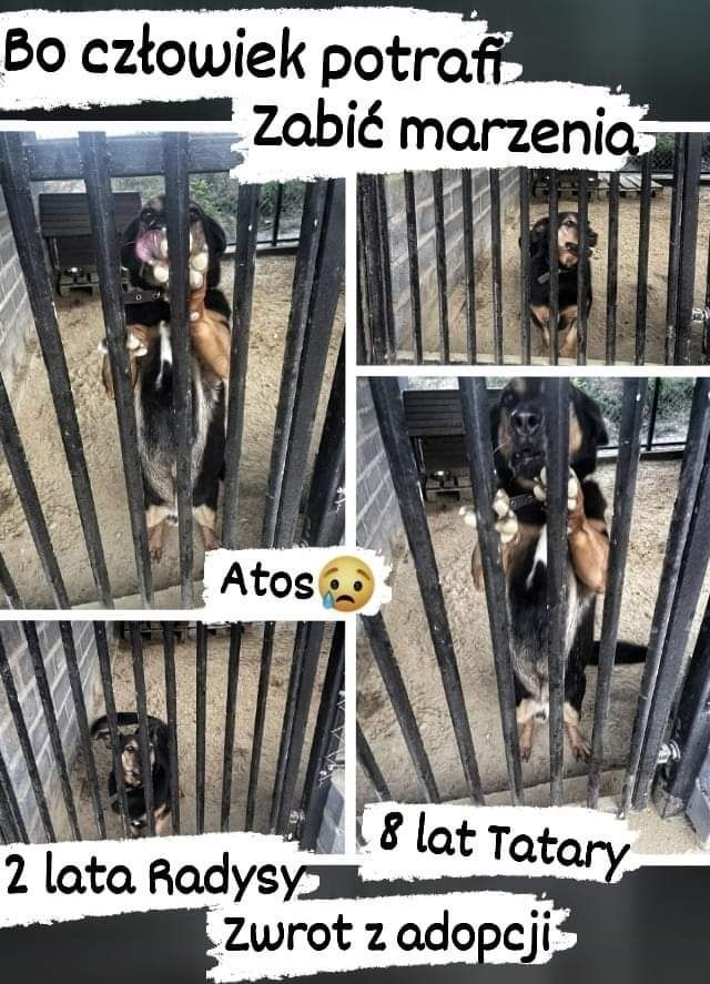 ATOS z Radys ,Tatar...do afopcji